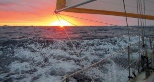 Emergencies at Sea, Williamsburg Charter Sails