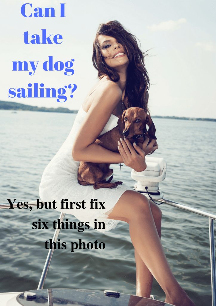 Can I take my dog sailing?
