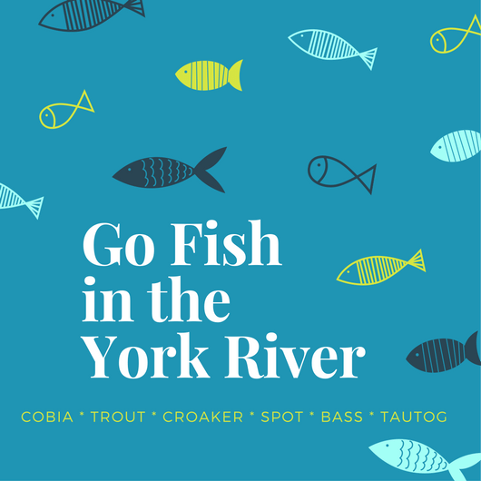 Go fish in the York River
