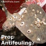 Barnacles will foul a prop