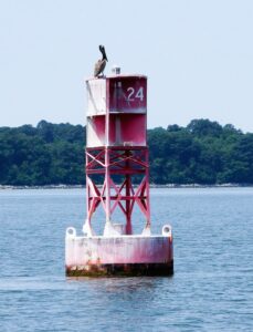 York Sailing