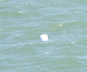 Burial at Sea