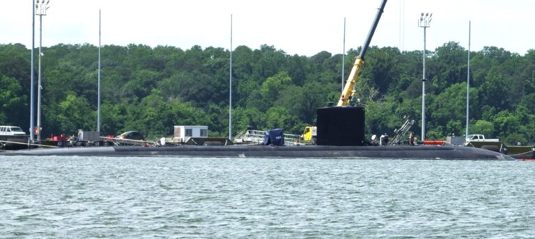 Sub Sighted
