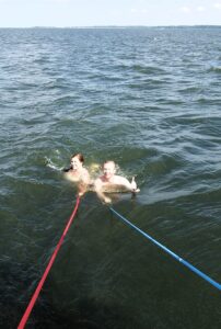 First Swim